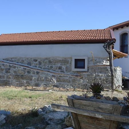 Casa Da Lima - Nestled In Nature On Santiago'S And Fatima'S Path, Close To Coimbra And Rabacal Alvorge Zewnętrze zdjęcie