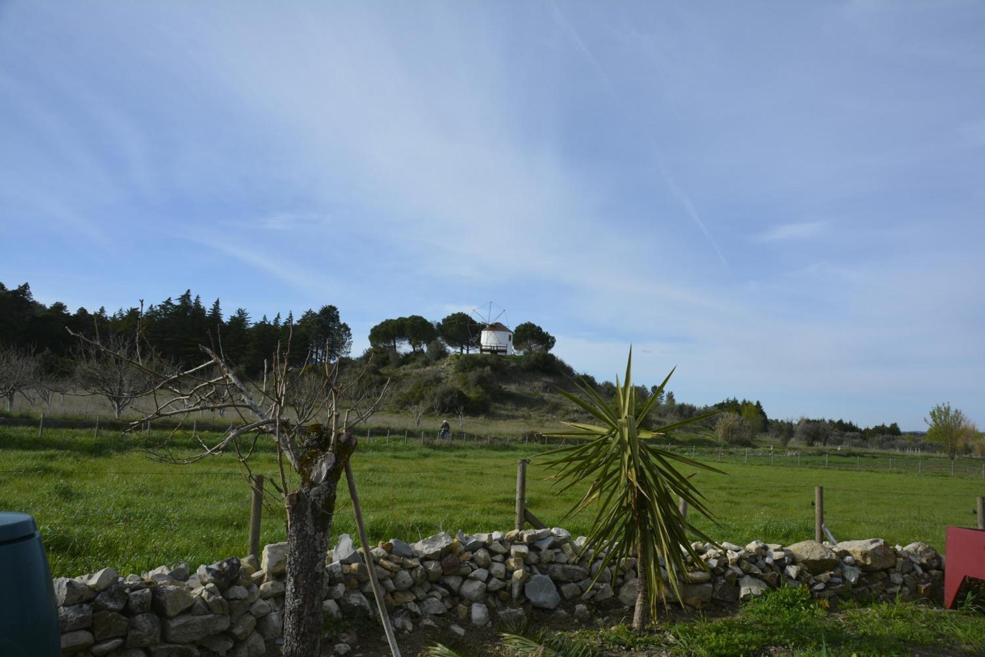 Casa Da Lima - Nestled In Nature On Santiago'S And Fatima'S Path, Close To Coimbra And Rabacal Alvorge Zewnętrze zdjęcie