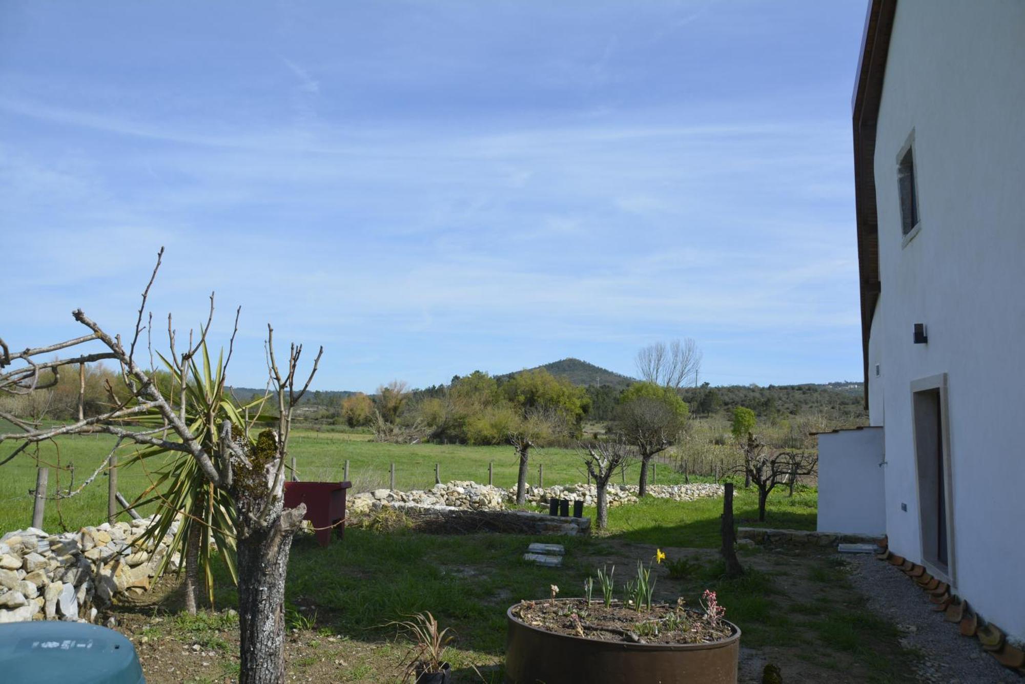 Casa Da Lima - Nestled In Nature On Santiago'S And Fatima'S Path, Close To Coimbra And Rabacal Alvorge Zewnętrze zdjęcie