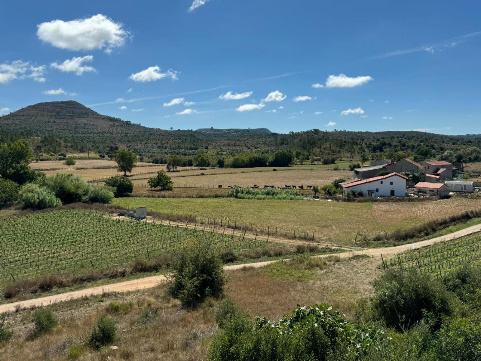 Casa Da Lima - Nestled In Nature On Santiago'S And Fatima'S Path, Close To Coimbra And Rabacal Alvorge Zewnętrze zdjęcie