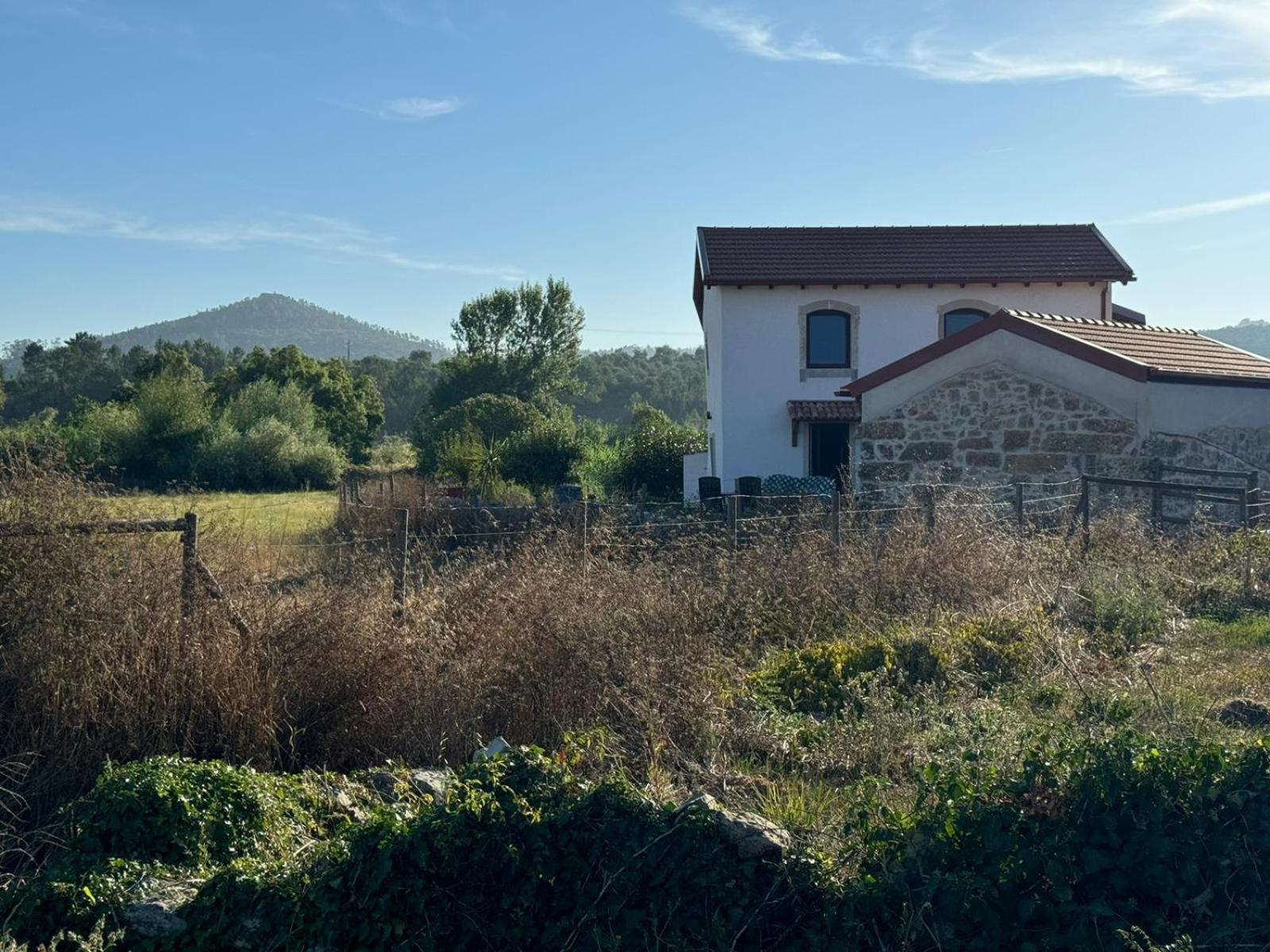 Casa Da Lima - Nestled In Nature On Santiago'S And Fatima'S Path, Close To Coimbra And Rabacal Alvorge Zewnętrze zdjęcie