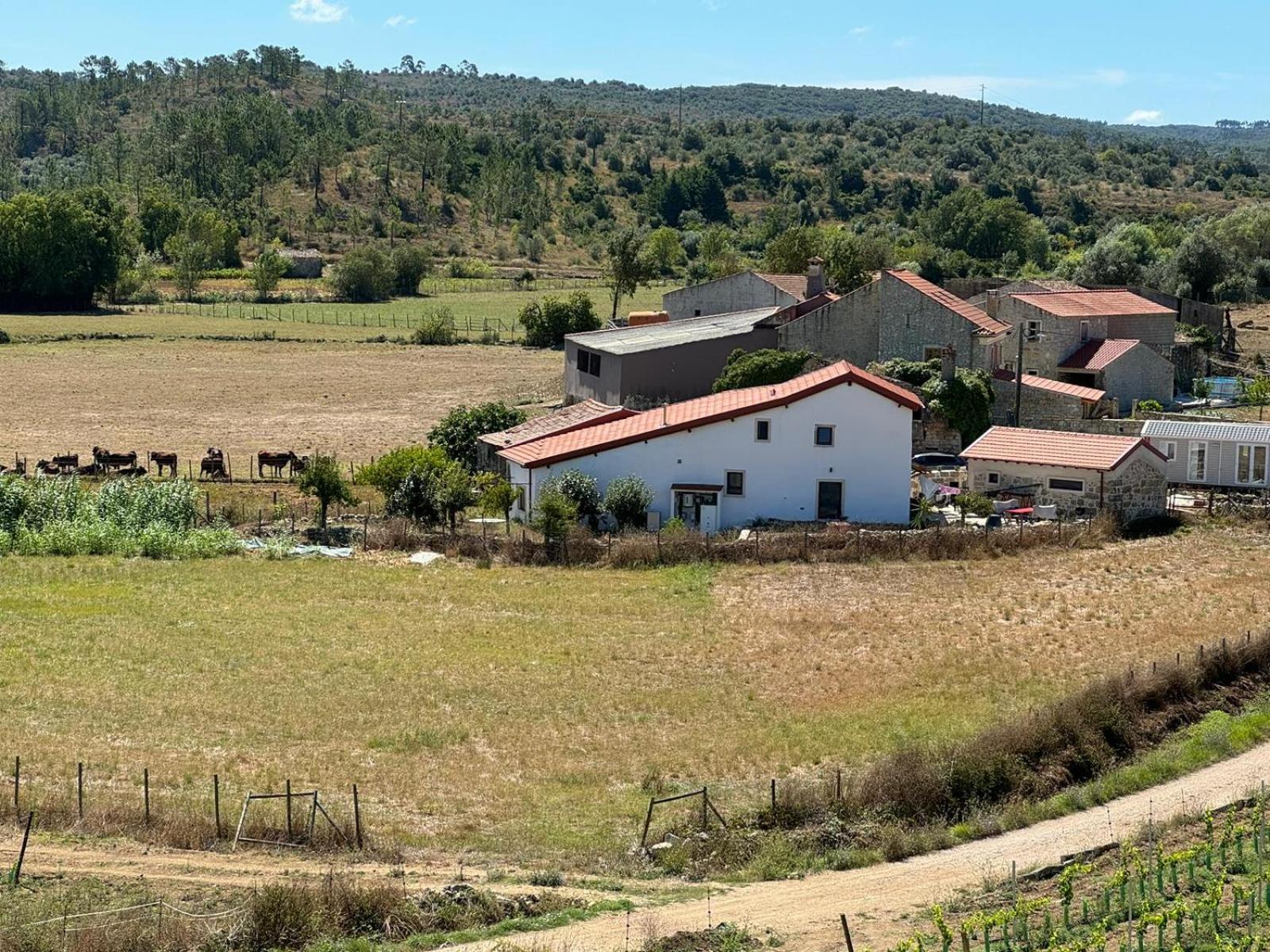 Casa Da Lima - Nestled In Nature On Santiago'S And Fatima'S Path, Close To Coimbra And Rabacal Alvorge Zewnętrze zdjęcie
