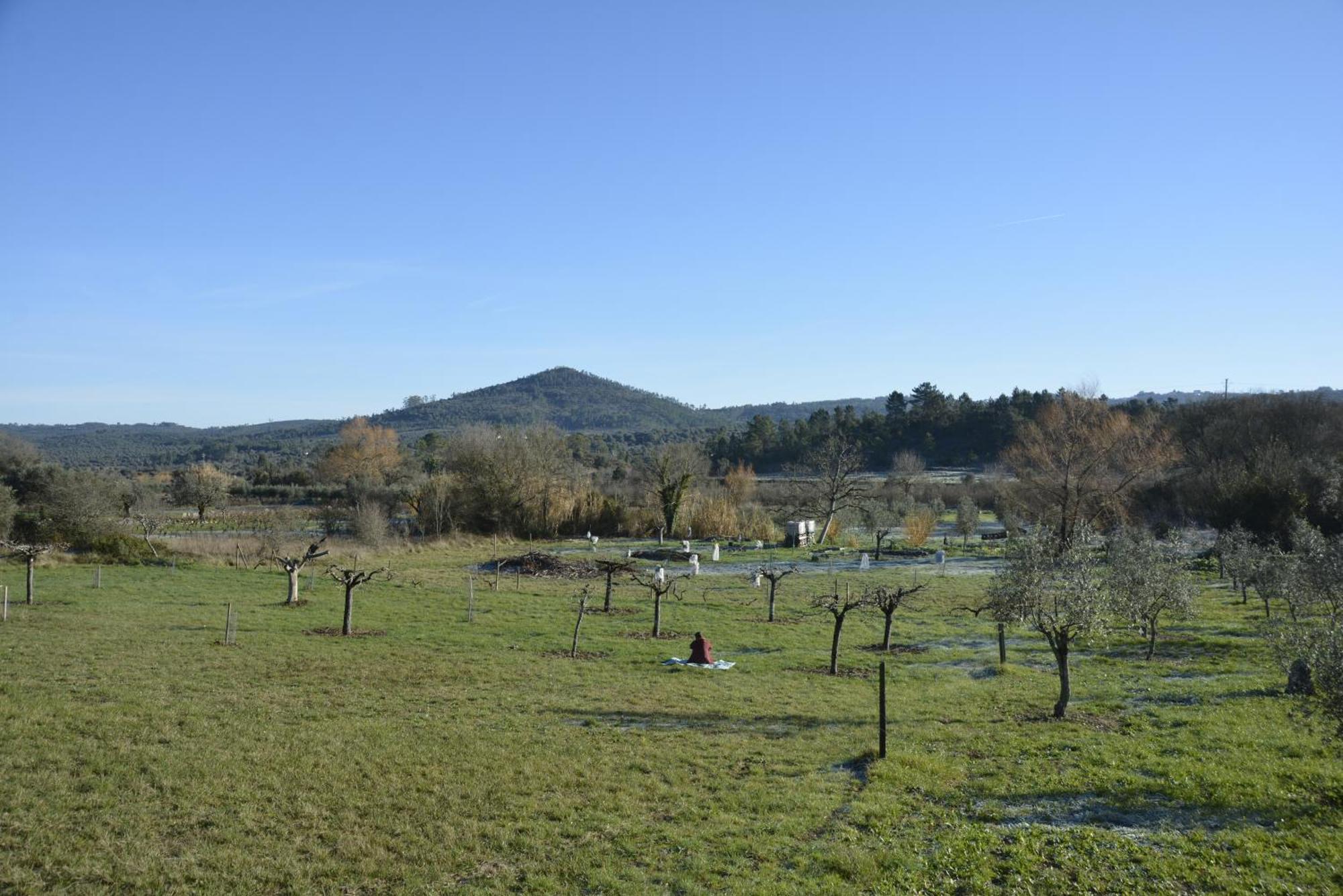 Casa Da Lima - Nestled In Nature On Santiago'S And Fatima'S Path, Close To Coimbra And Rabacal Alvorge Zewnętrze zdjęcie